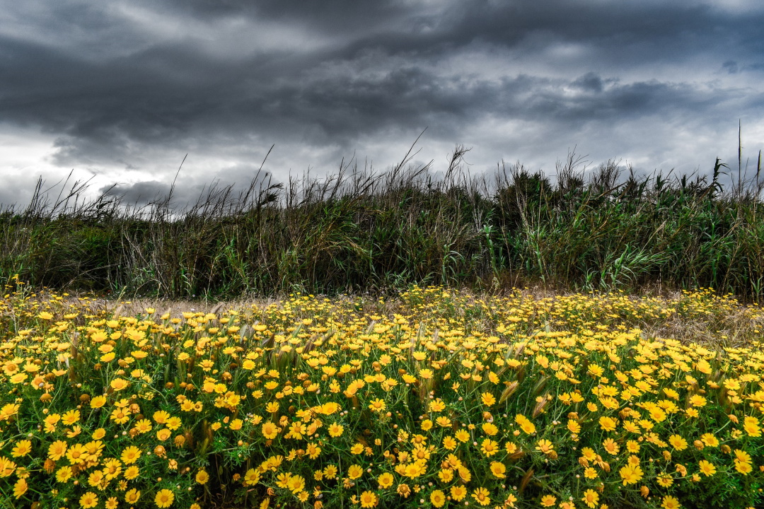 landscape-4137802_1920